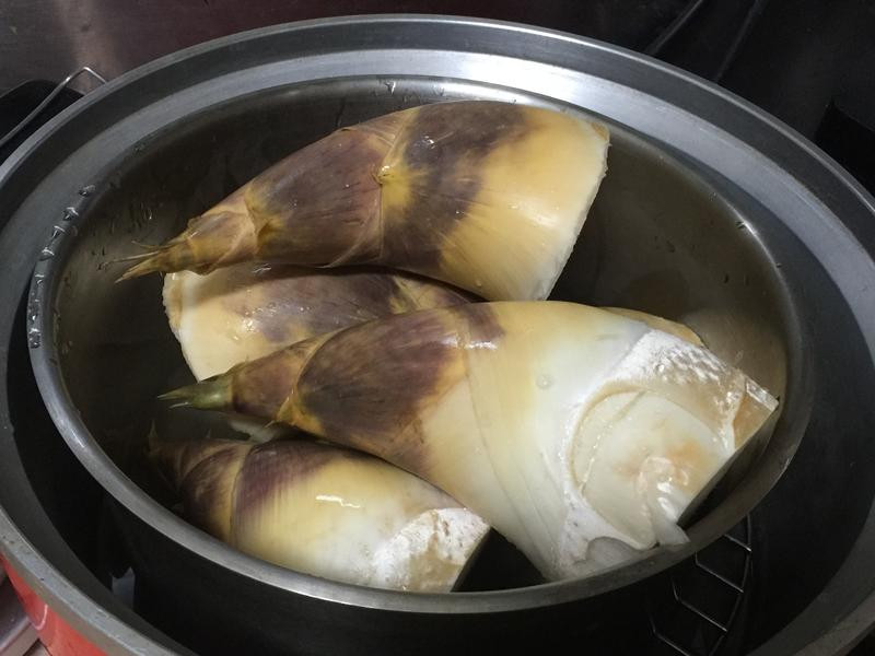 ���ɳ�����������