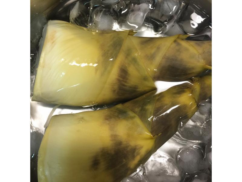 �h�����������