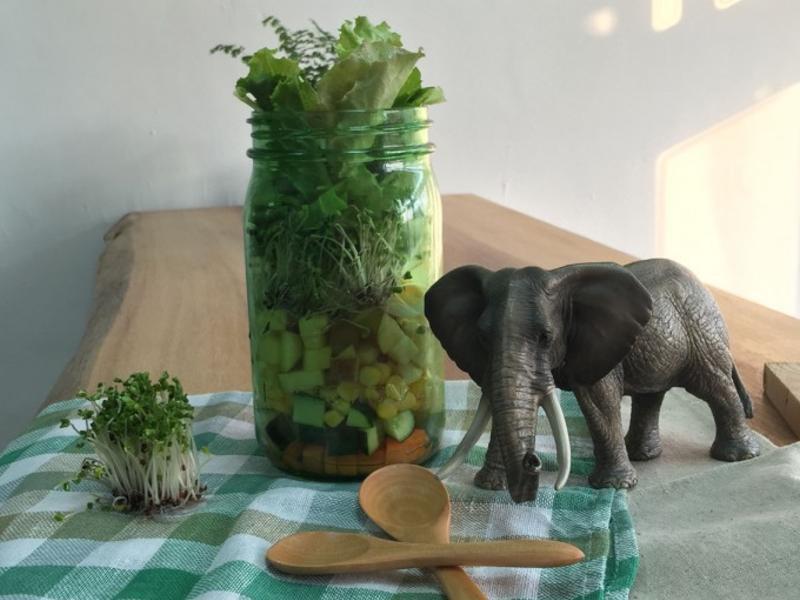 绿藤罐装沙拉的做法