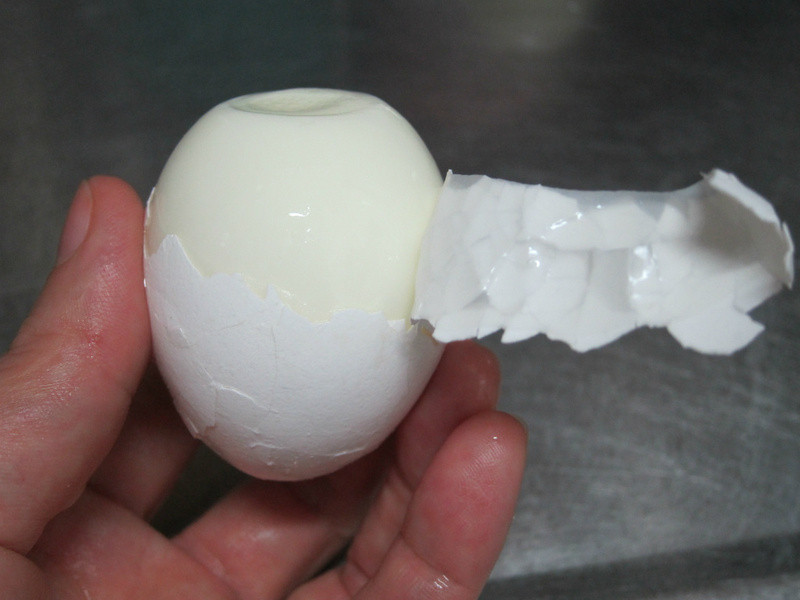 �����������������