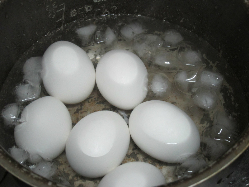 �����������������