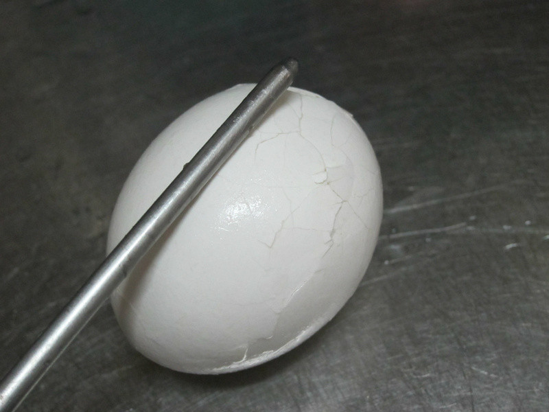 �����������������