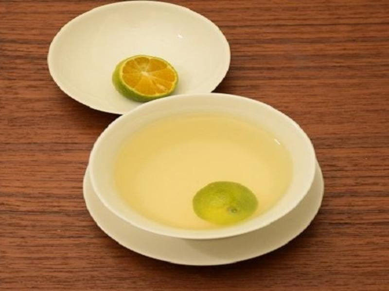 ��ʽ�ݲ˶�����������