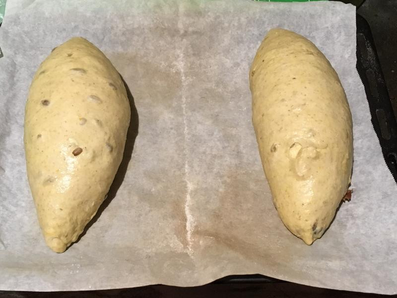 �Ϲϼ���������������