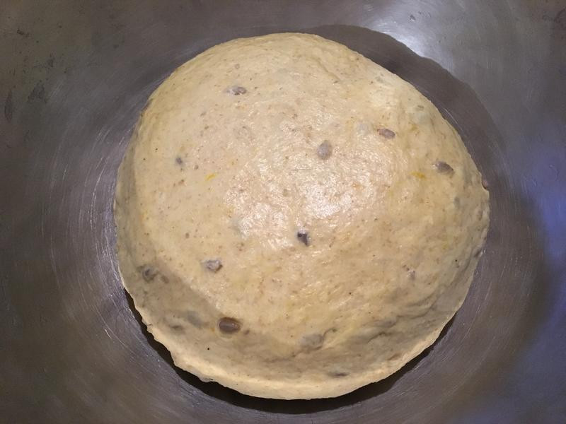 �Ϲϼ���������������