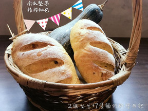 �Ϲϼ���������������