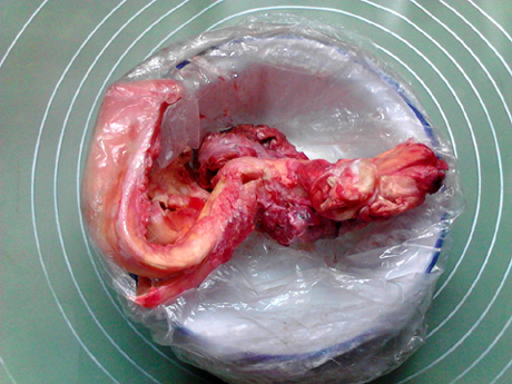 ����ţ��������