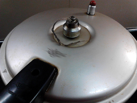 ����ţ��������