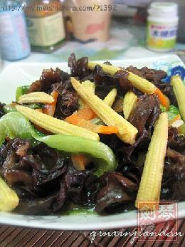 ������ľ��������