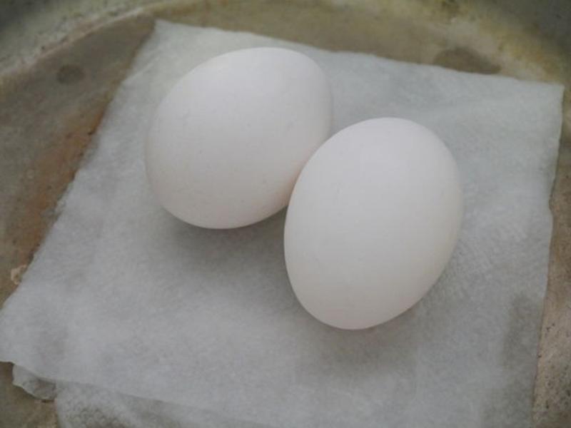 ʥ��������ɳ����������