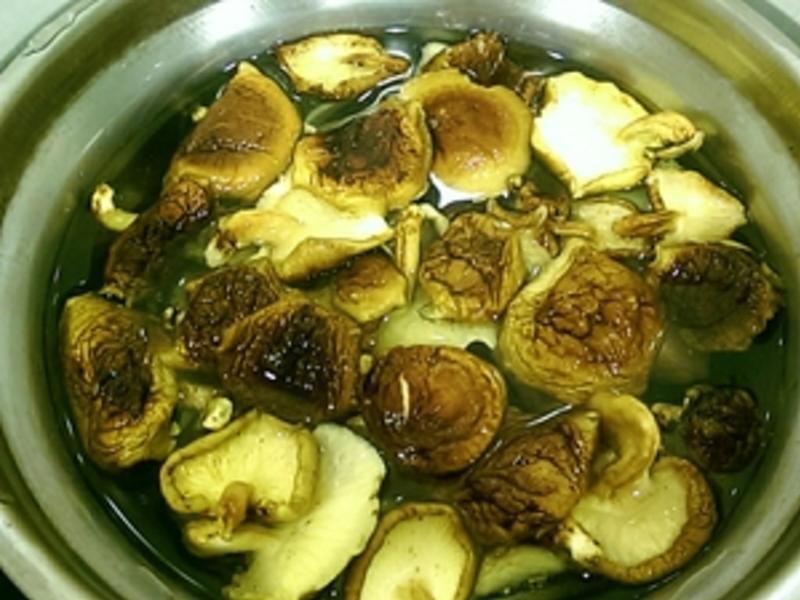 �㹽����(���׵����)������