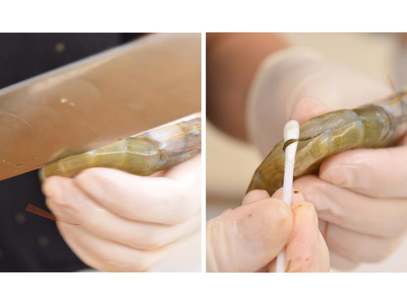 ����ơ��Ϻ������