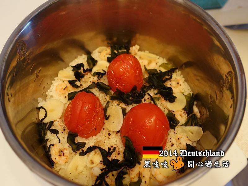 ����ެ�Ѻ���ѿϺ�ʷ�������