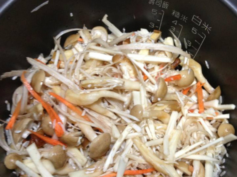 ��ʽ����������