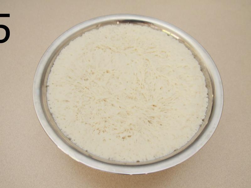 ����ͷ������