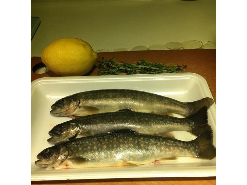 ������ݟh���������