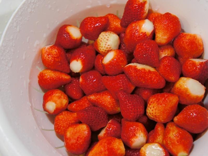 VIVI ����Ĳ�ݮ���� DIY������