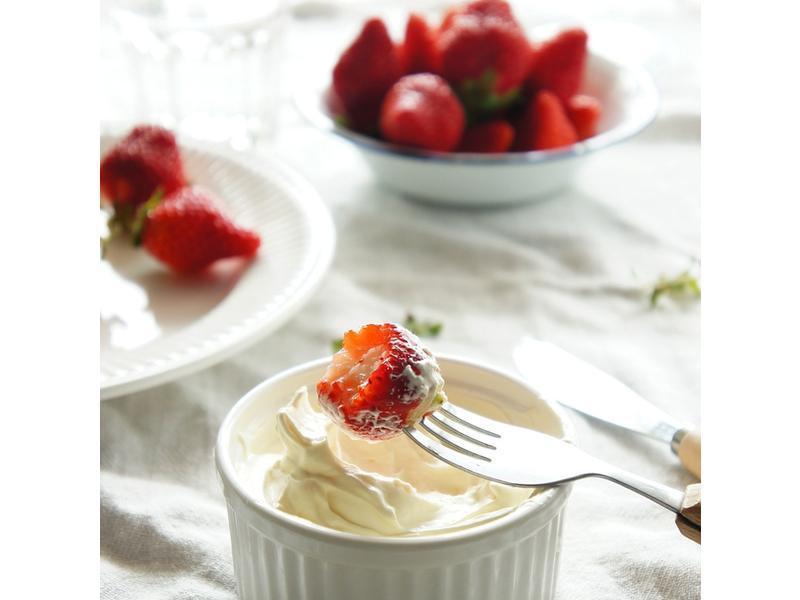 VIVI ����Ĳ�ݮ���� DIY������