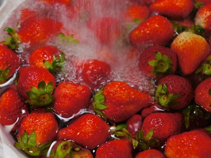 VIVI ����Ĳ�ݮ���� DIY������