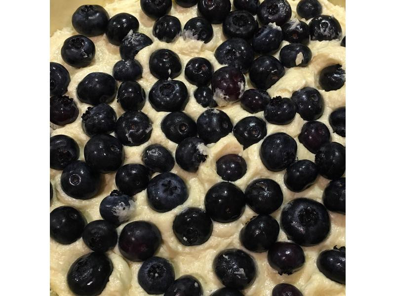 ��ݮ��������