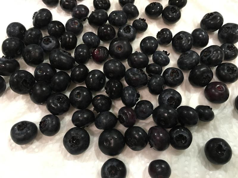 ��ݮ��������