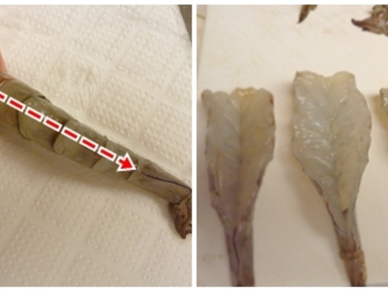 ֻҪ10��������һ����������Ϻ��!!������