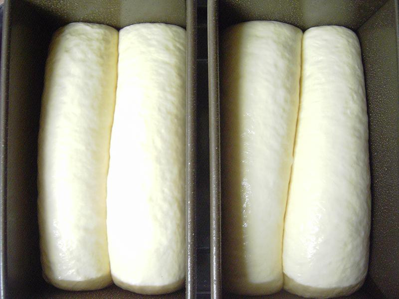 ��Ȼ��ĸ����������˾������