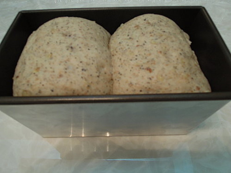 ��������������˾�����ַ���������