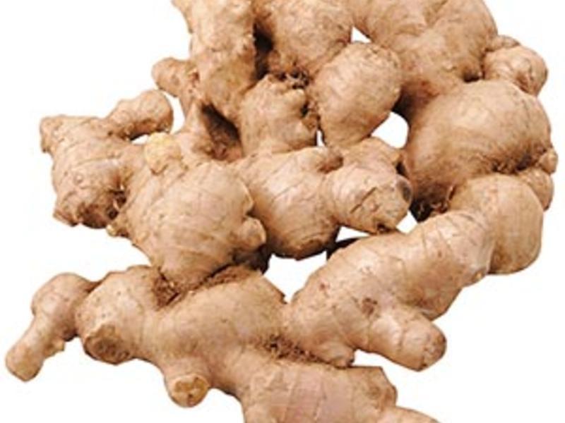 ����ӡ���̲������