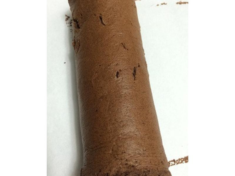 �ɿ������������������