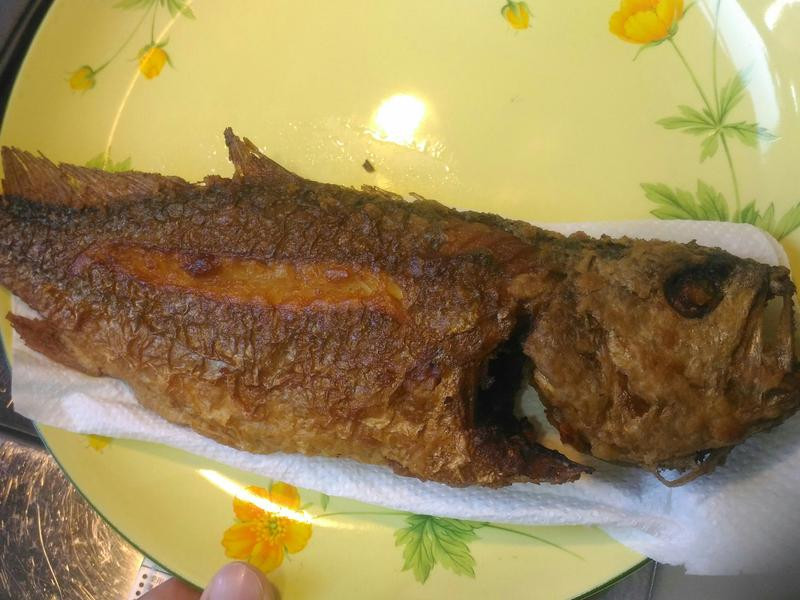 �̠`���������