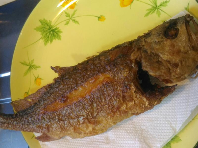 �̠`���������