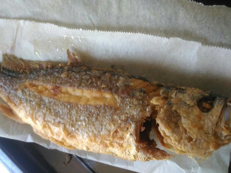 �̠`���������