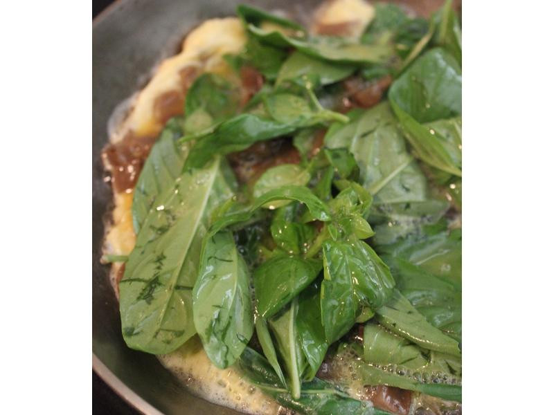 ������Ե�������