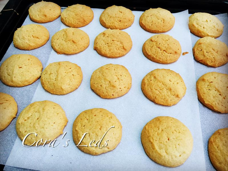 �����������������