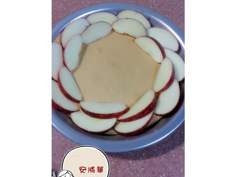 ��ݮƻ���������������