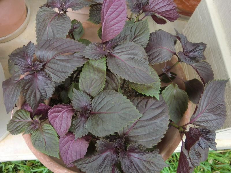 ���ղ������