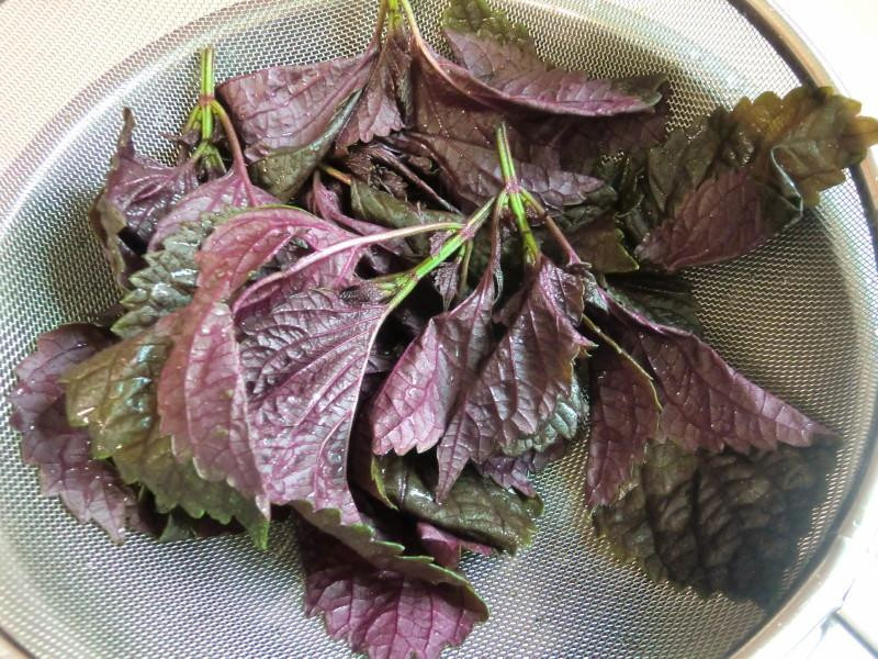 ���ղ������