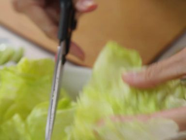 ��ʽ�����������