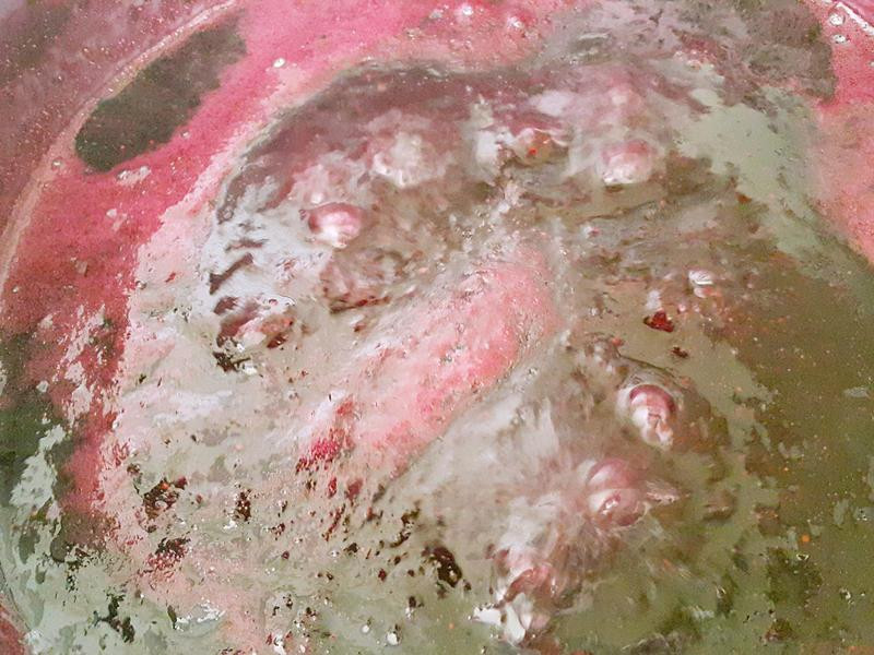 ������ݮ����������