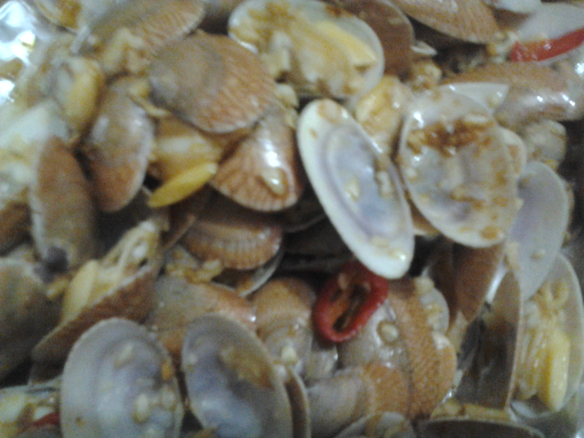 ���س����׵�����