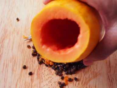 ����ѩ����ľ�ϵ�����