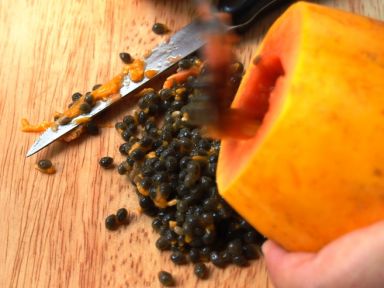 ����ѩ����ľ�ϵ�����