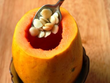 ����ѩ����ľ�ϵ�����