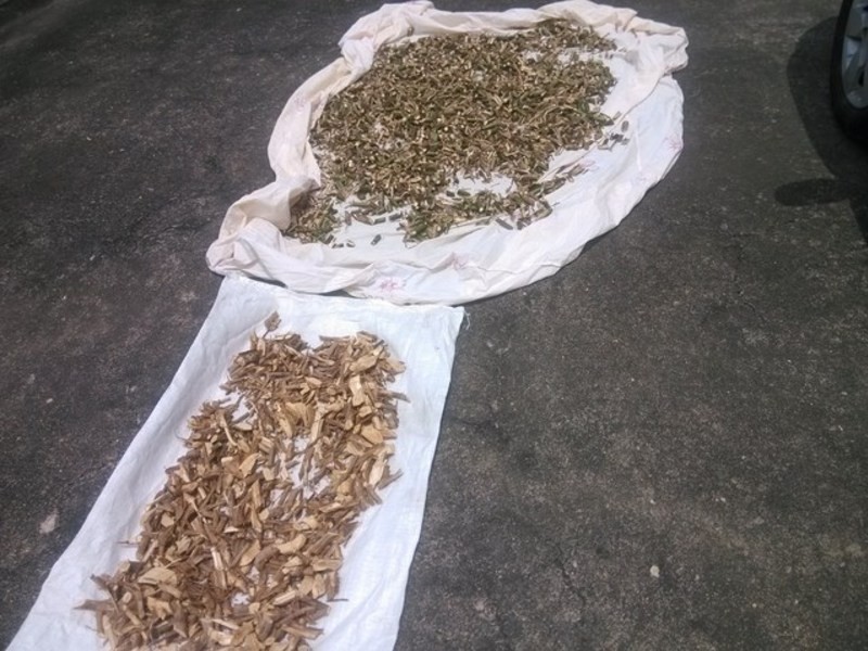 �Լ��������������ݲ������