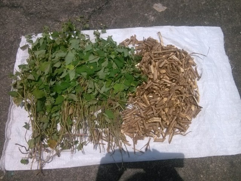 �Լ��������������ݲ������