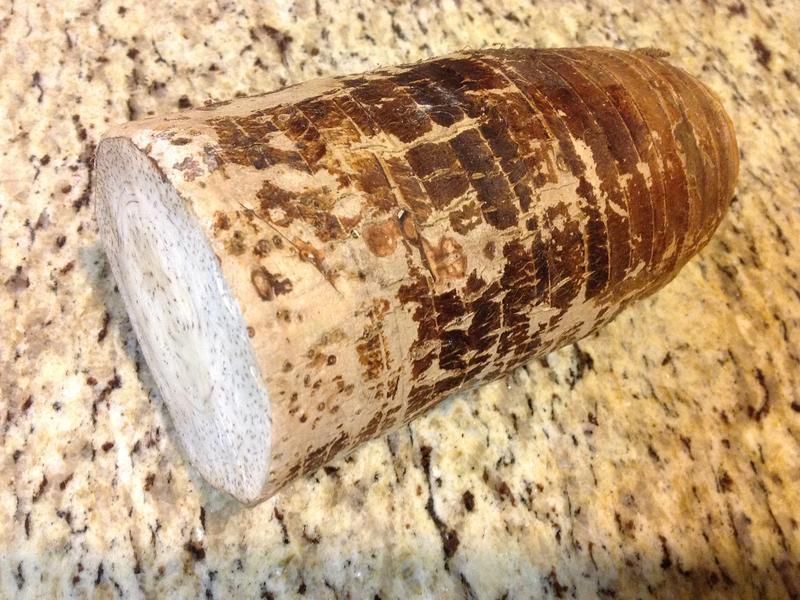 ����ζ����ͷ?!!!������