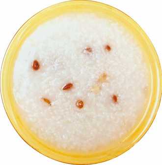 �ٺ������������