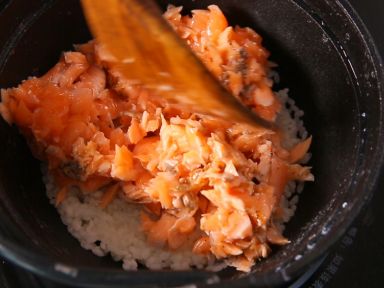 ���������ѷ�������