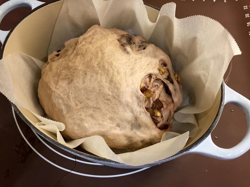 ������������ƹ�Բ�������������